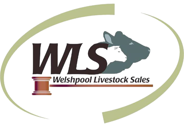Welshpool Livestock Sales