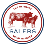 Salers Cattle Society